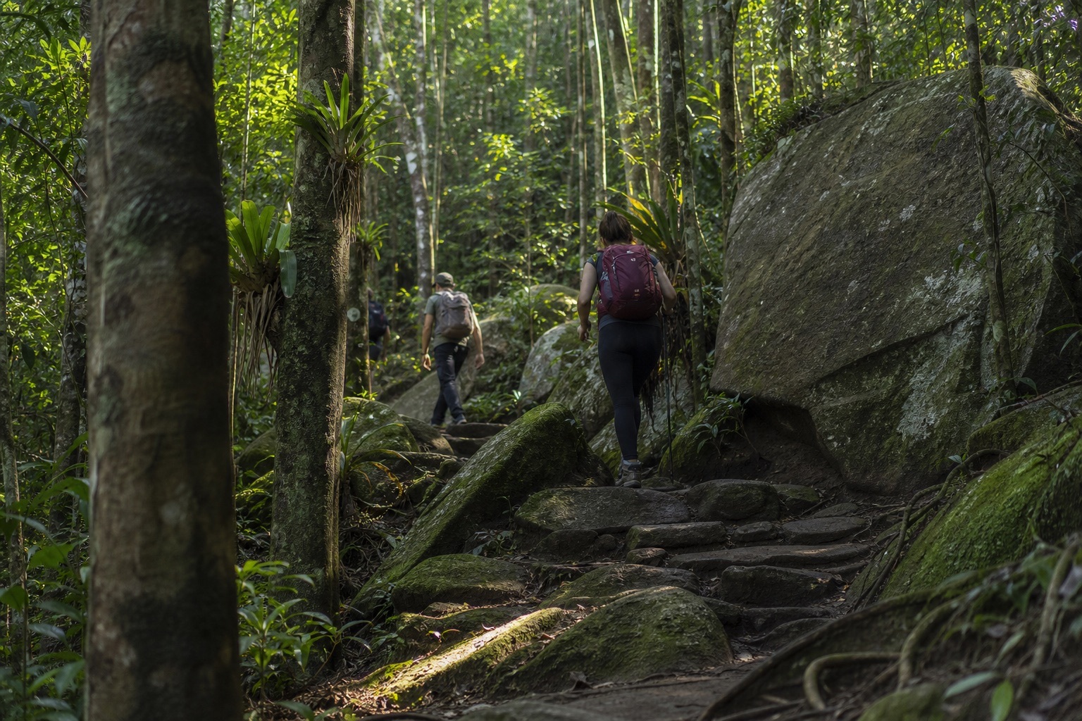 Trilha de pedra e raízes dentro da mata atlântica do parque nacional, com caminhantes ao fundo entre raios de sol da manhã